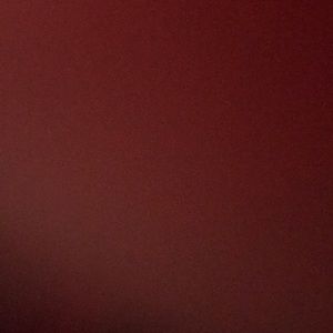 Meet your Posher, Foshee